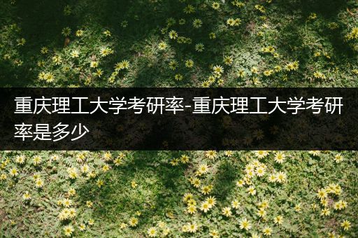 重庆理工大学考研率-重庆理工大学考研率是多少
