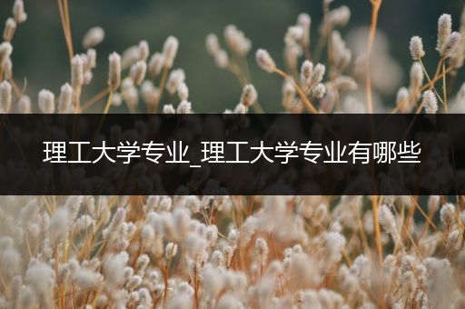 理工大学专业_理工大学专业有哪些