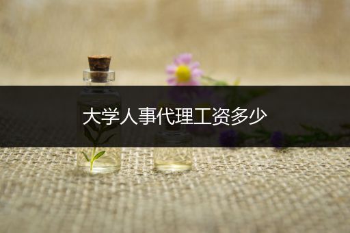 大学人事代理工资多少