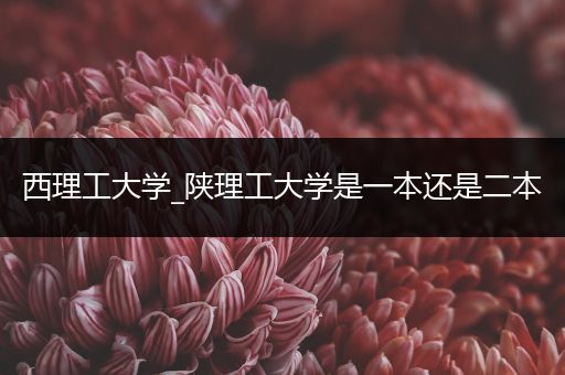 西理工大学_陕理工大学是一本还是二本