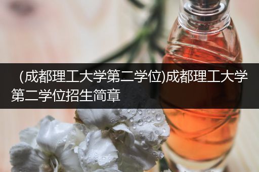 （成都理工大学第二学位)成都理工大学第二学位招生简章