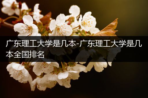 广东理工大学是几本-广东理工大学是几本全国排名