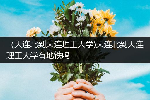 （大连北到大连理工大学)大连北到大连理工大学有地铁吗