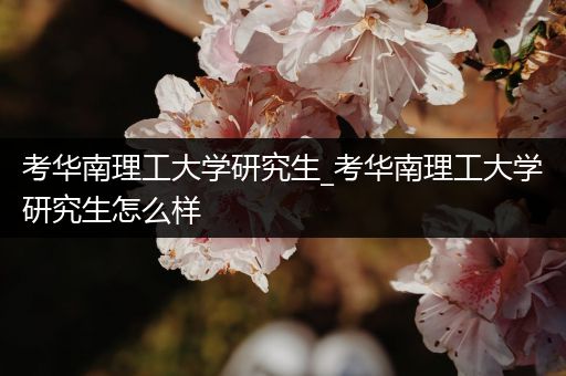 考华南理工大学研究生_考华南理工大学研究生怎么样