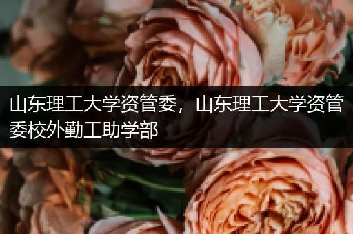 山东理工大学资管委，山东理工大学资管委校外勤工助学部