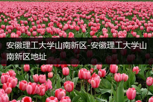 安徽理工大学山南新区-安徽理工大学山南新区地址