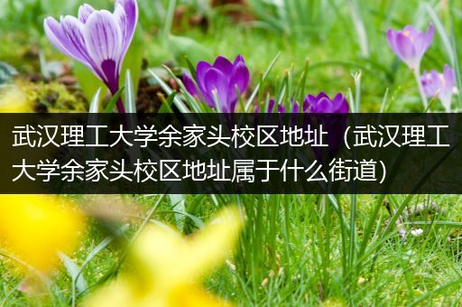 武汉理工大学余家头校区地址（武汉理工大学余家头校区地址属于什么街道）