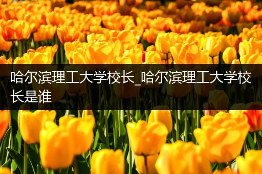 哈尔滨理工大学校长_哈尔滨理工大学校长是谁