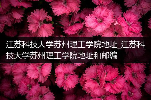 江苏科技大学苏州理工学院地址_江苏科技大学苏州理工学院地址和邮编