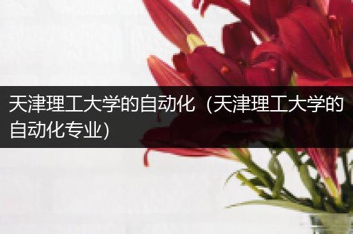 天津理工大学的自动化（天津理工大学的自动化专业）