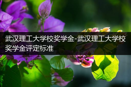 武汉理工大学校奖学金-武汉理工大学校奖学金评定标准