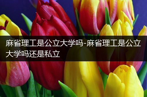 麻省理工是公立大学吗-麻省理工是公立大学吗还是私立