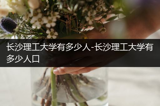 长沙理工大学有多少人-长沙理工大学有多少人口