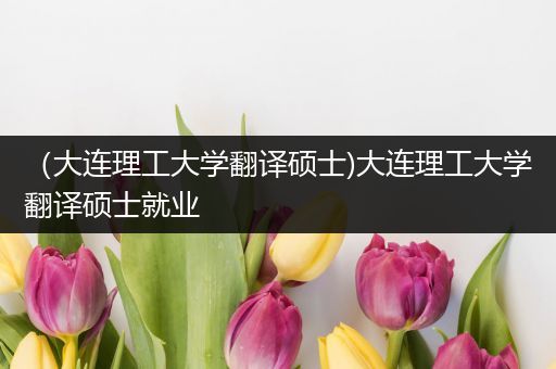 （大连理工大学翻译硕士)大连理工大学翻译硕士就业