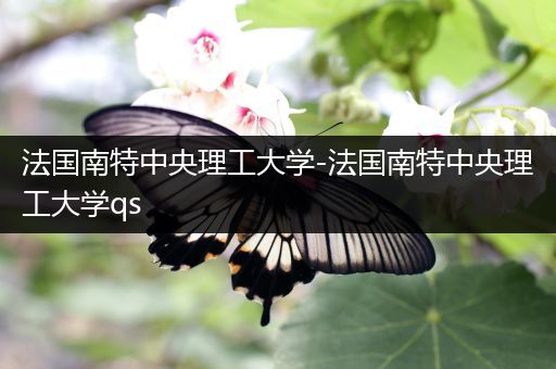 法国南特中央理工大学-法国南特中央理工大学qs