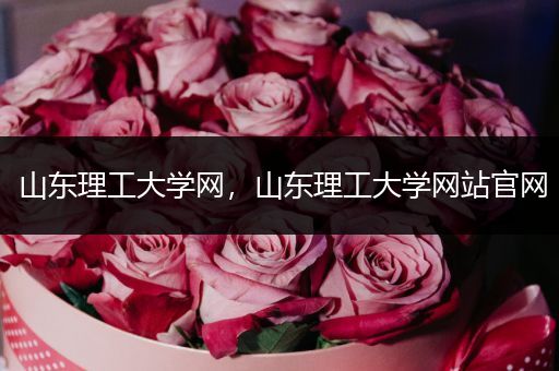 山东理工大学网，山东理工大学网站官网