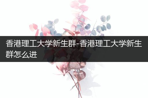 香港理工大学新生群-香港理工大学新生群怎么进