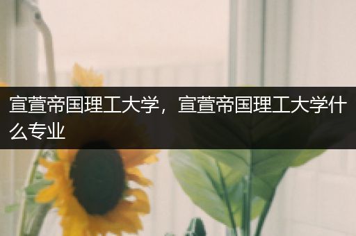 宣萱帝国理工大学，宣萱帝国理工大学什么专业