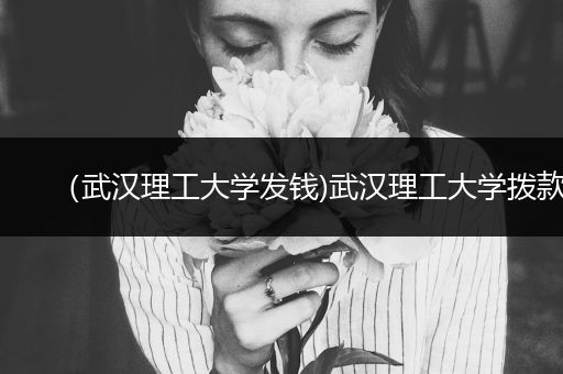 （武汉理工大学发钱)武汉理工大学拨款