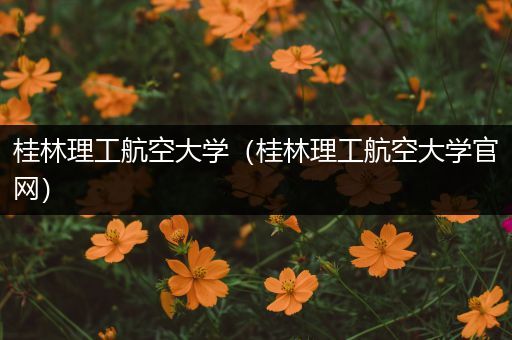 桂林理工航空大学（桂林理工航空大学官网）