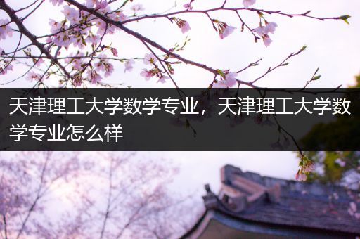 天津理工大学数学专业，天津理工大学数学专业怎么样