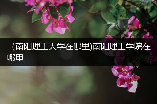 （南阳理工大学在哪里)南阳理工学院在哪里