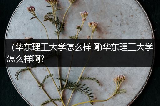 （华东理工大学怎么样啊)华东理工大学怎么样啊?
