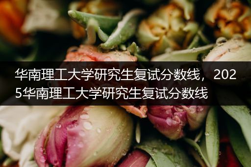 华南理工大学研究生复试分数线，2025华南理工大学研究生复试分数线
