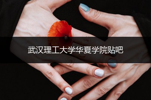 武汉理工大学华夏学院贴吧