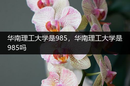 华南理工大学是985，华南理工大学是985吗