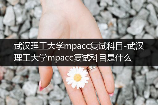 武汉理工大学mpacc复试科目-武汉理工大学mpacc复试科目是什么