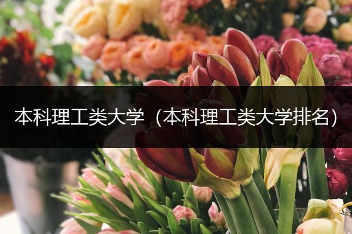 本科理工类大学（本科理工类大学排名）