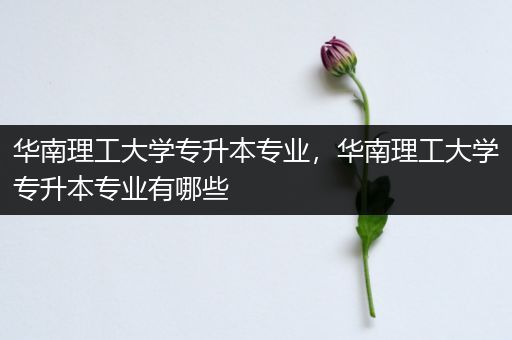 华南理工大学专升本专业，华南理工大学专升本专业有哪些