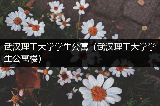 武汉理工大学学生公寓（武汉理工大学学生公寓楼）