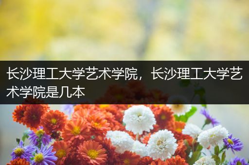 长沙理工大学艺术学院，长沙理工大学艺术学院是几本