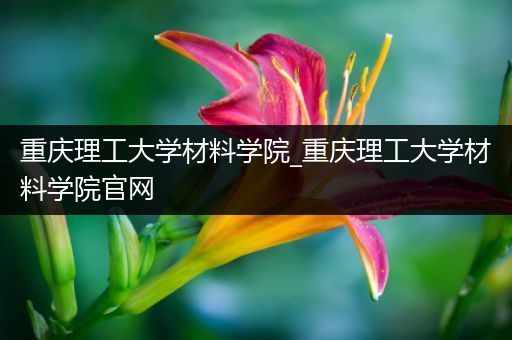 重庆理工大学材料学院_重庆理工大学材料学院官网