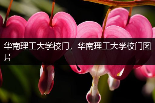 华南理工大学校门，华南理工大学校门图片