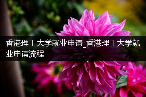 香港理工大学就业申请_香港理工大学就业申请流程
