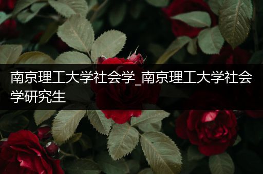 南京理工大学社会学_南京理工大学社会学研究生