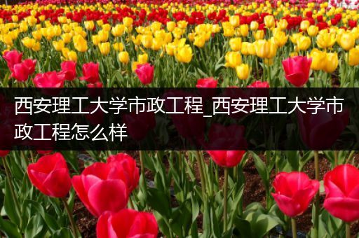 西安理工大学市政工程_西安理工大学市政工程怎么样