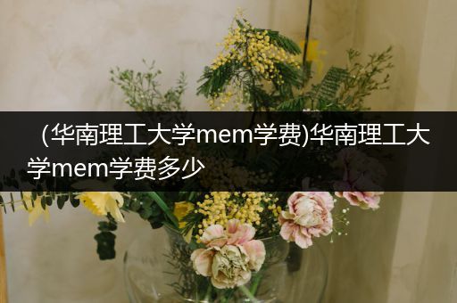 （华南理工大学mem学费)华南理工大学mem学费多少