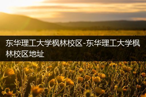 东华理工大学枫林校区-东华理工大学枫林校区地址
