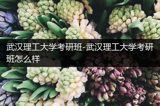 武汉理工大学考研班-武汉理工大学考研班怎么样