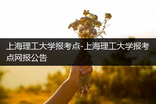 上海理工大学报考点-上海理工大学报考点网报公告