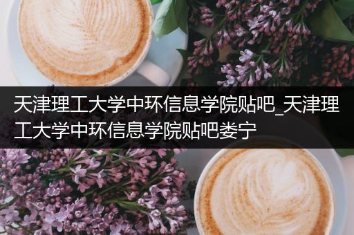 天津理工大学中环信息学院贴吧_天津理工大学中环信息学院贴吧娄宁