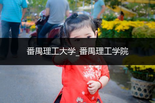 番禺理工大学_番禺理工学院
