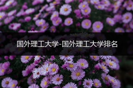 国外理工大学-国外理工大学排名