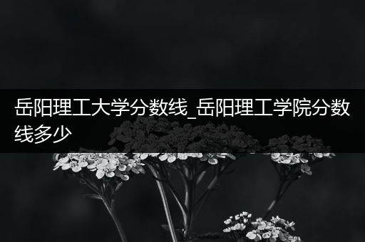 岳阳理工大学分数线_岳阳理工学院分数线多少