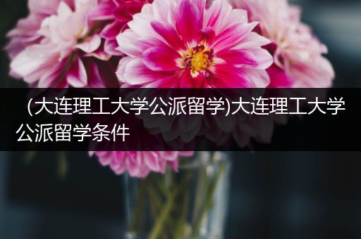（大连理工大学公派留学)大连理工大学公派留学条件