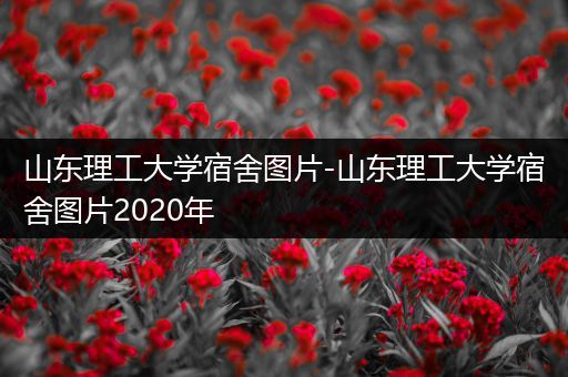 山东理工大学宿舍图片-山东理工大学宿舍图片2020年